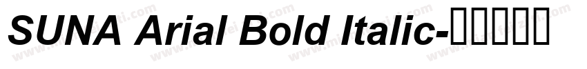 SUNA Arial Bold Italic字体转换
